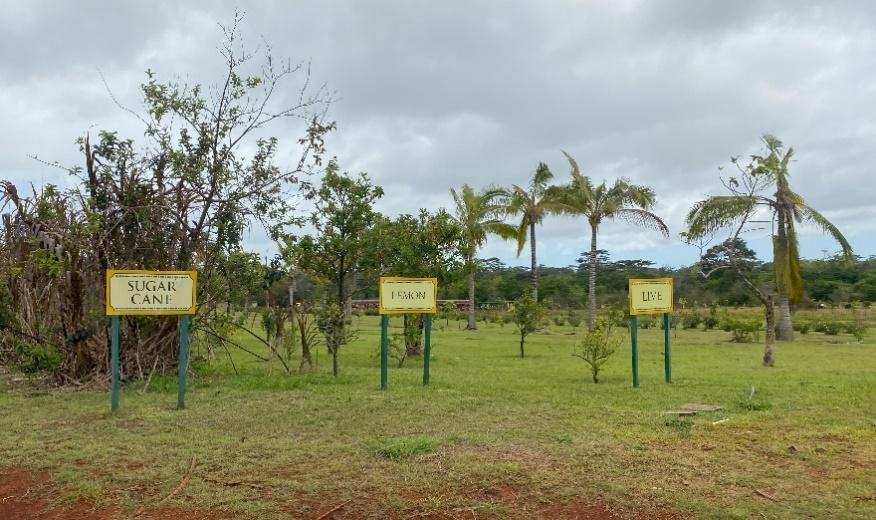 A group of signs in a field

Description automatically generated